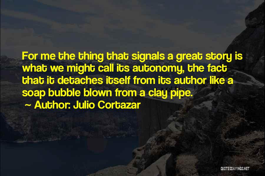Julio Cortazar Quotes 362021