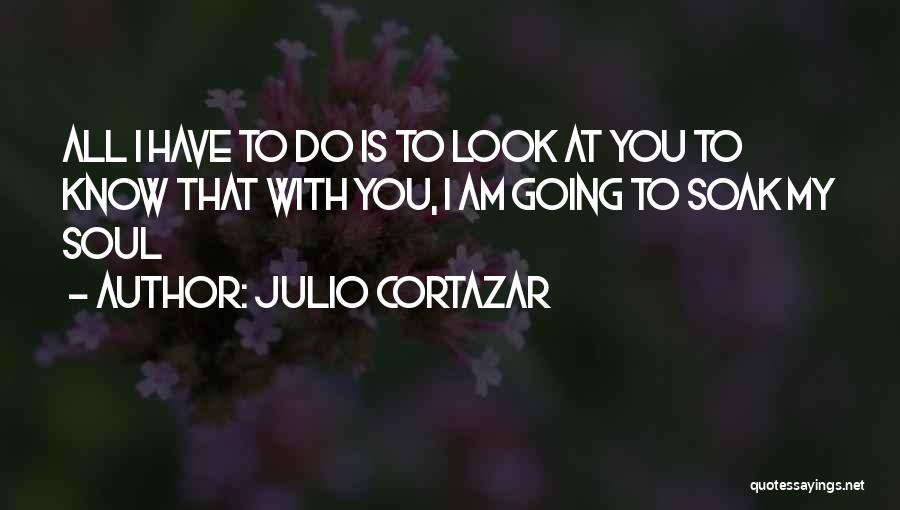 Julio Cortazar Quotes 494998