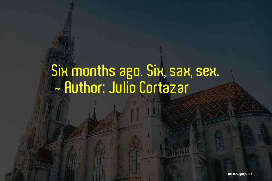 Julio Cortazar Quotes 704173