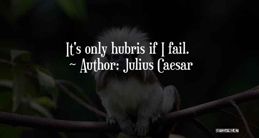 Julius Caesar Quotes 107862