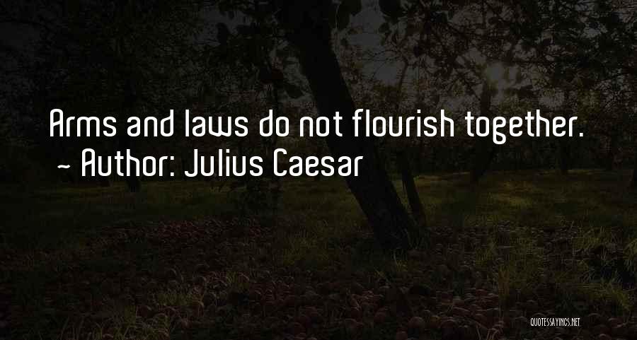 Julius Caesar Quotes 158226