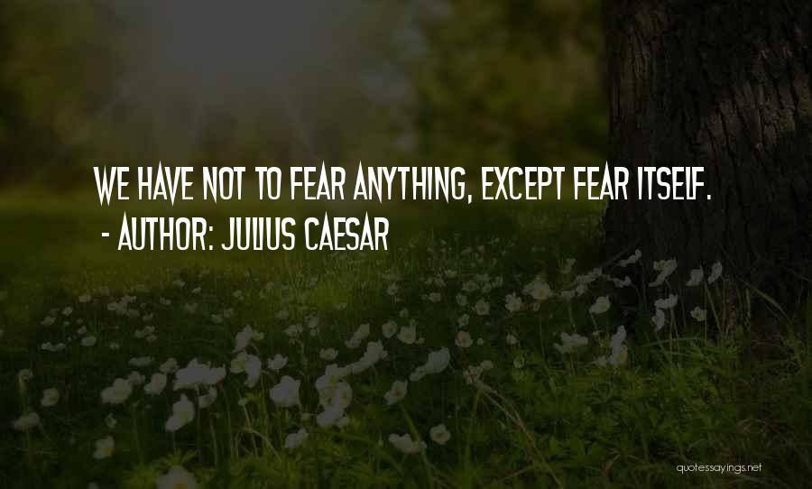 Julius Caesar Quotes 1686454