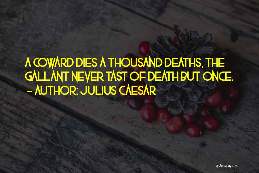 Julius Caesar Quotes 1865525