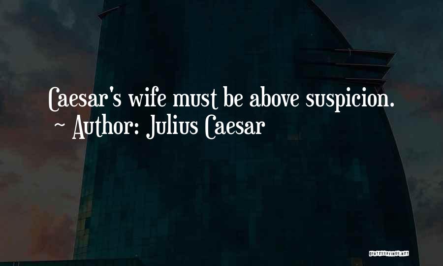 Julius Caesar Quotes 515562