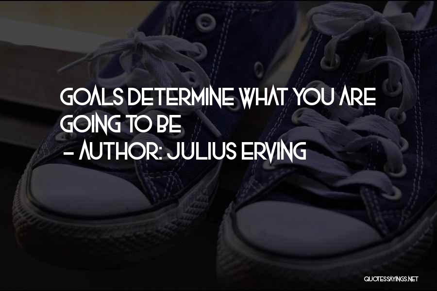 Julius Erving Quotes 1047638