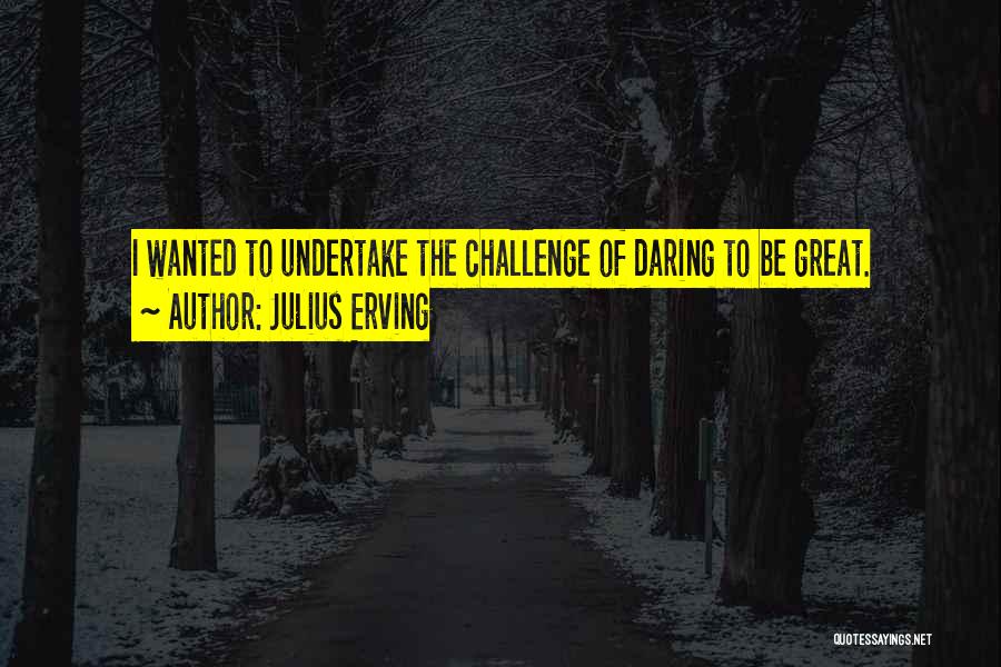 Julius Erving Quotes 1158059