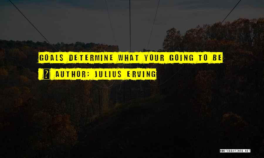 Julius Erving Quotes 1196115