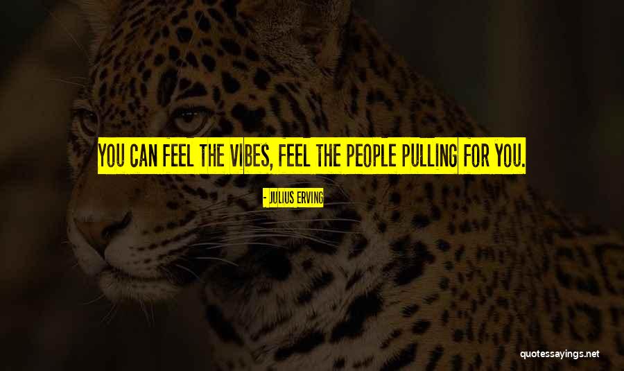 Julius Erving Quotes 219821 Julius Erving Quotes 219821