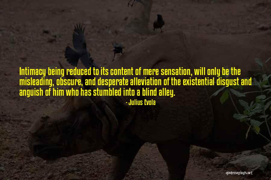 Julius Evola Quotes 2072108 Julius Evola Quotes 2072108