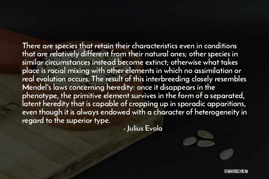 Julius Evola Quotes 323289