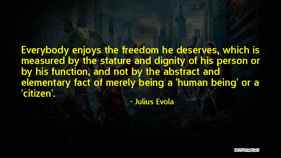 Julius Evola Quotes 954146