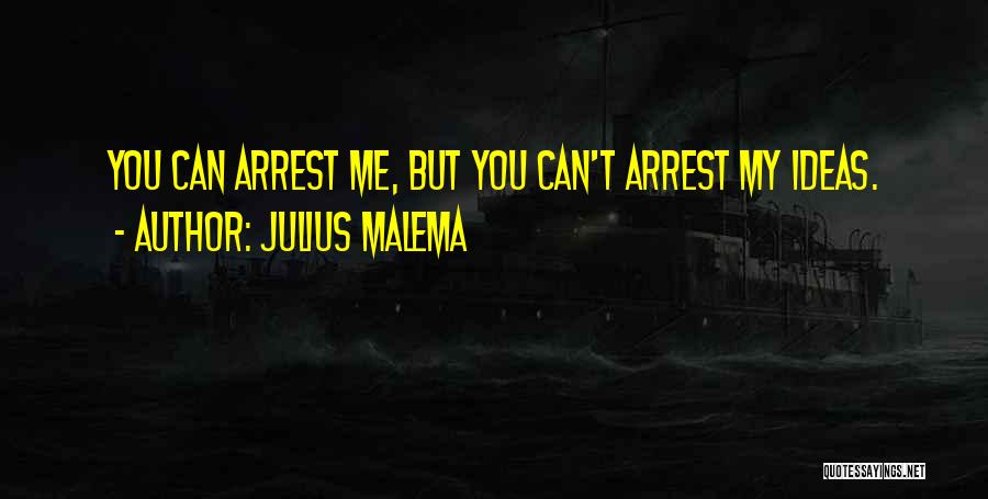 Julius Malema Quotes 1317033