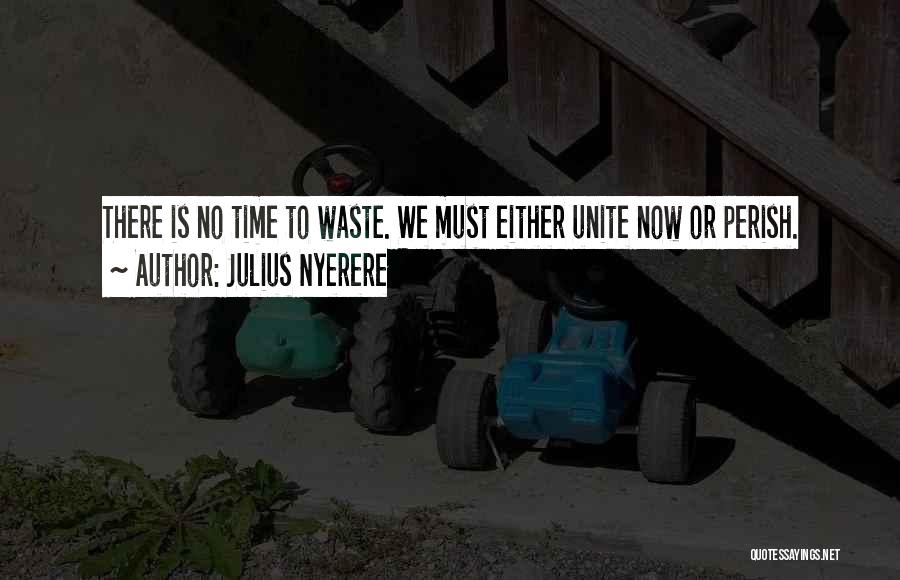 Julius Nyerere Quotes 950728