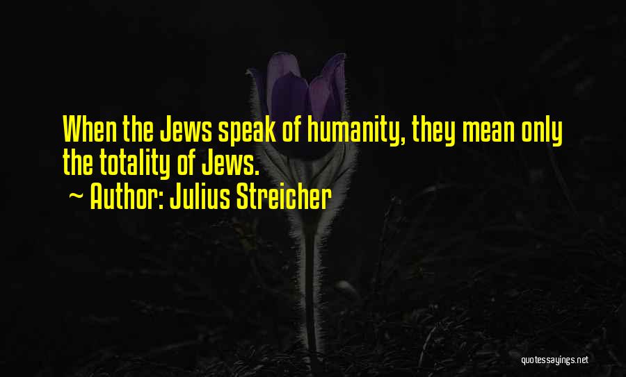 Julius Streicher Quotes 675401