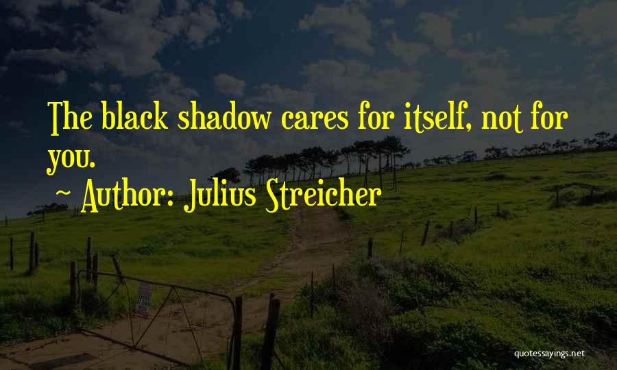 Julius Streicher Quotes 95273