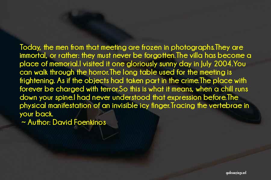 July Quotes By David Foenkinos