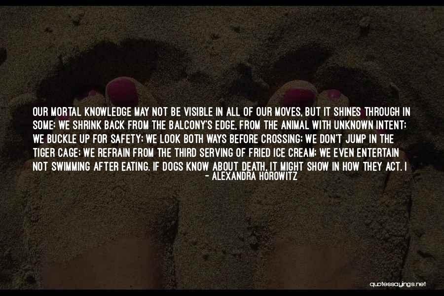 Jump Off The Edge Quotes By Alexandra Horowitz Jump Off The Edge Quotes By Alexandra Horowitz