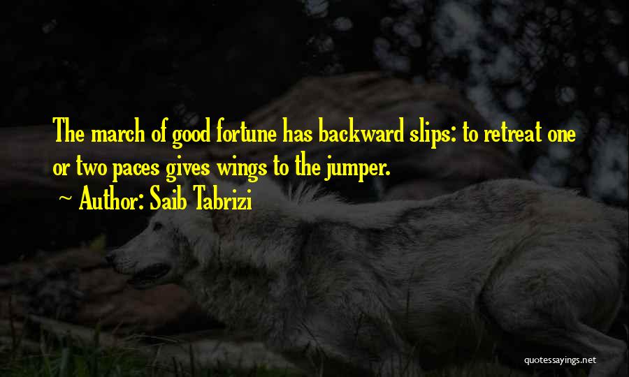 Jumper Quotes By Saib Tabrizi