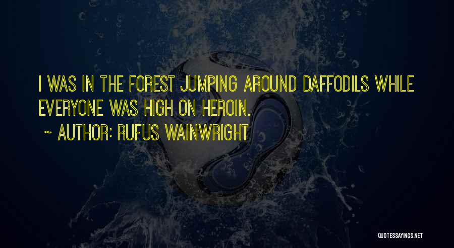 Jumping High Quotes By Rufus Wainwright