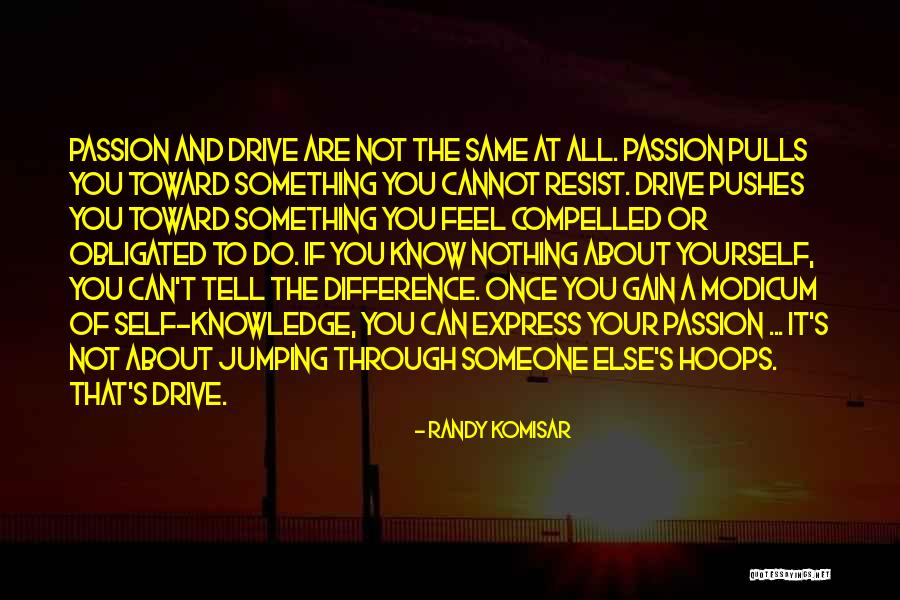 Jumping Hoops Quotes By Randy Komisar