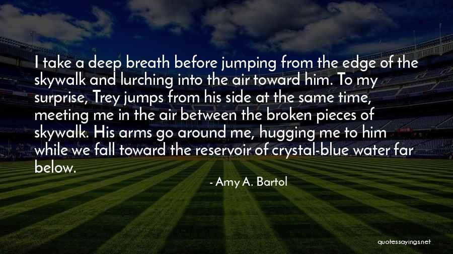 Jumping In The Water Quotes By Amy A. Bartol