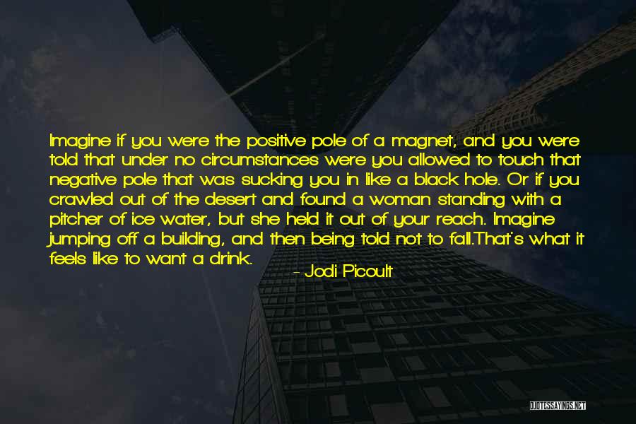 Jumping In The Water Quotes By Jodi Picoult