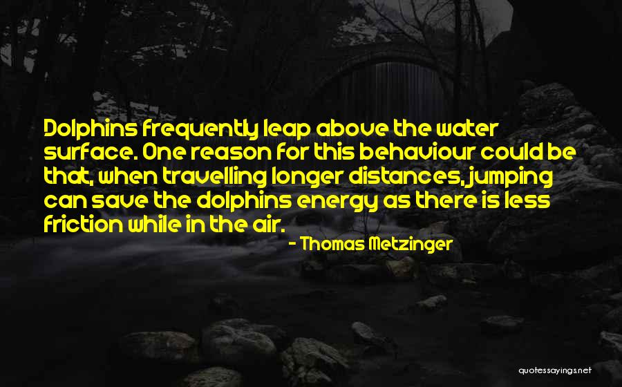 Jumping In The Water Quotes By Thomas Metzinger