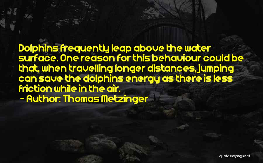 Jumping In Water Quotes By Thomas Metzinger