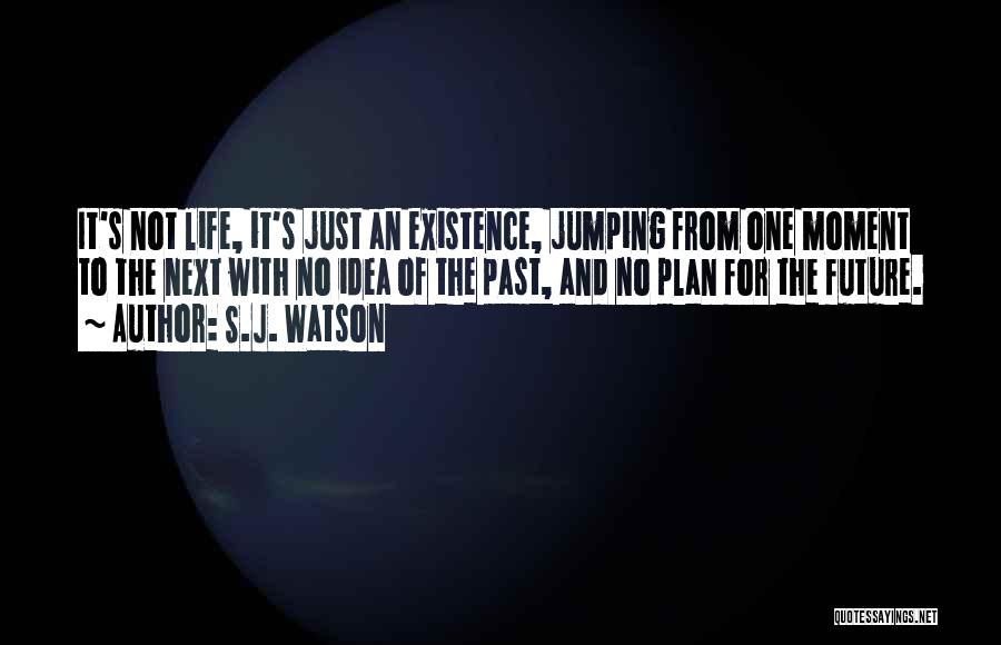Jumping Into Life Quotes By S.J. Watson