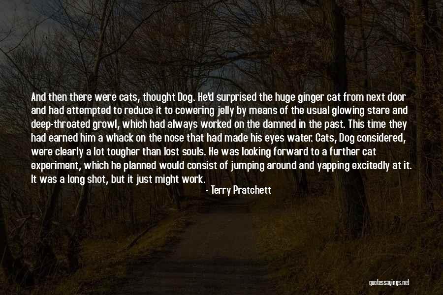 Jumping Into The Water Quotes By Terry Pratchett