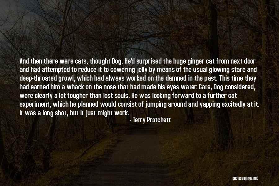 Jumping Into The Water Quotes By Terry Pratchett