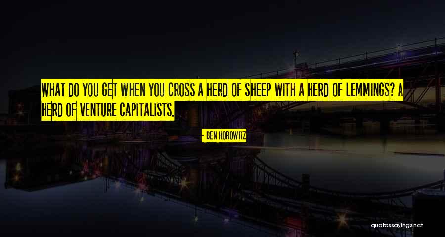 Junacima Sa Quotes By Ben Horowitz Junacima Sa Quotes By Ben Horowitz