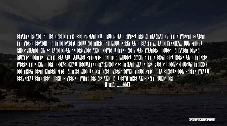 Junction Quotes By Tim Dorsey Junction Quotes By Tim Dorsey