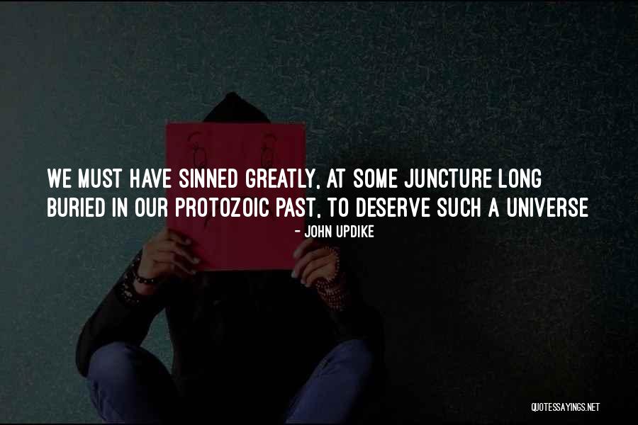 Juncture In Life Quotes By John Updike Juncture In Life Quotes By John Updike