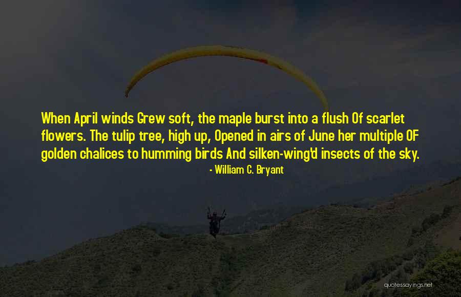 June Flowers Quotes By William C. Bryant June Flowers Quotes By William C. Bryant
