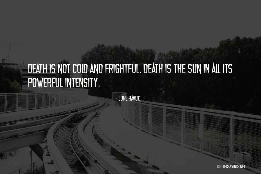 June Havoc Quotes 582931 June Havoc Quotes 582931