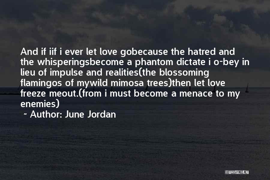 June Jordan Love Quotes By June Jordan