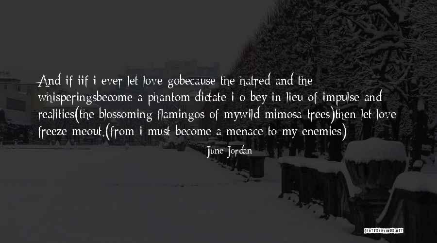 June Jordan Quotes 1402399 June Jordan Quotes 1402399