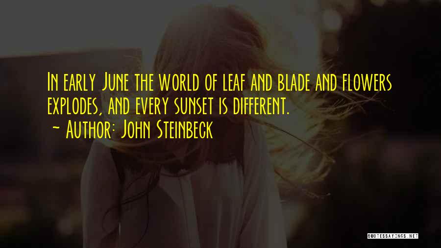 June Quotes By John Steinbeck