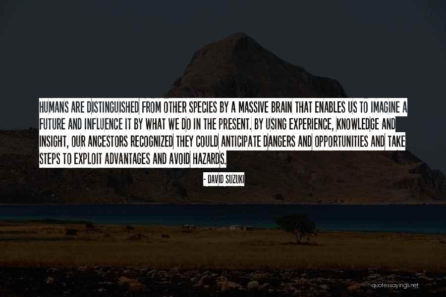 June Shannon Quotes By David Suzuki June Shannon Quotes By David Suzuki