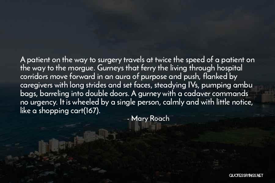 June Shannon Quotes By Mary Roach June Shannon Quotes By Mary Roach