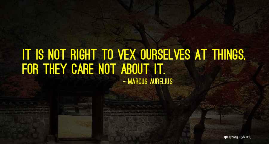 Junebug The Wire Quotes By Marcus Aurelius Junebug The Wire Quotes By Marcus Aurelius