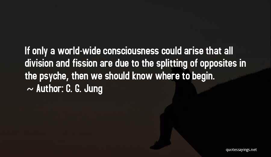 Jung Collective Unconscious Quotes By C. G. Jung