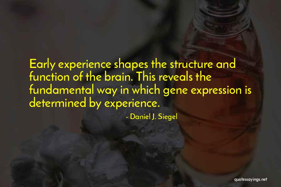Jungels Family Quotes By Daniel J. Siegel Jungels Family Quotes By Daniel J. Siegel