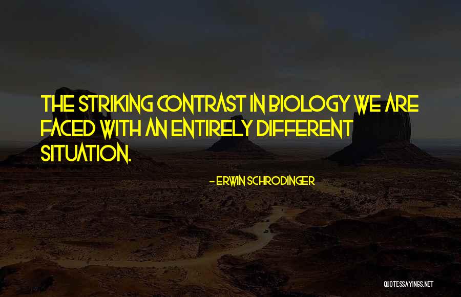 Jungla De Timo Quotes By Erwin Schrodinger Jungla De Timo Quotes By Erwin Schrodinger