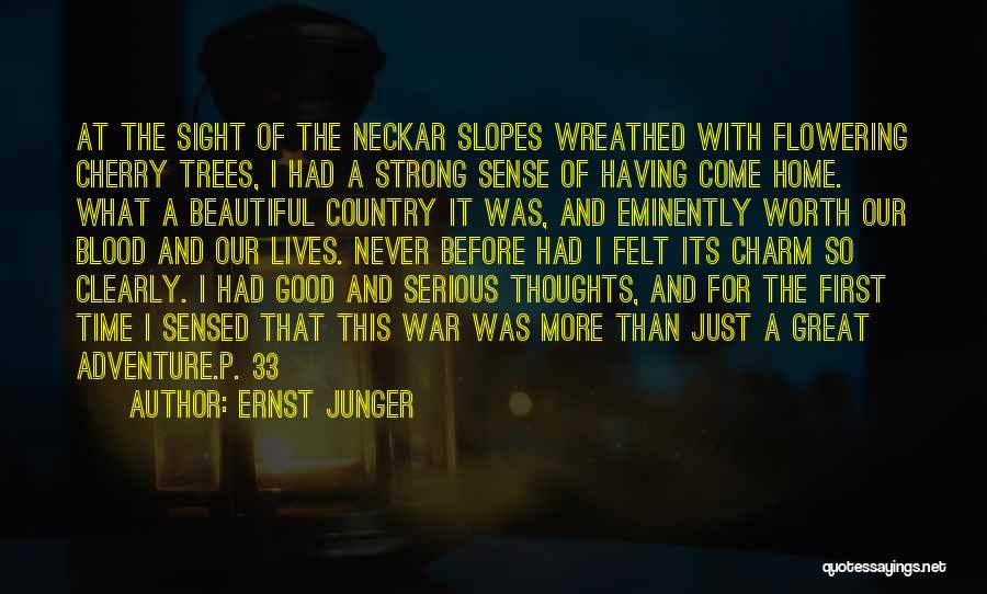 Jungla Guatemala Quotes By Ernst Junger