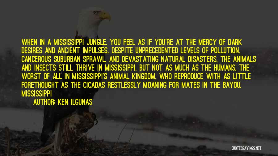 Jungle Animal Quotes By Ken Ilgunas