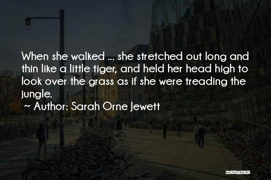 Jungle Cat Quotes By Sarah Orne Jewett