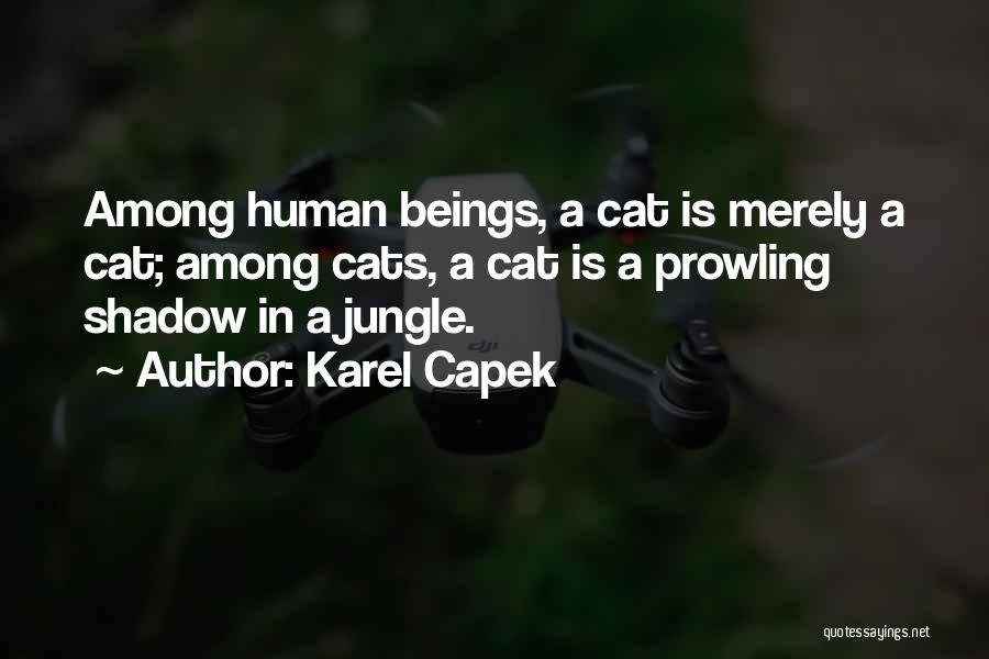 Jungle Cats Quotes By Karel Capek