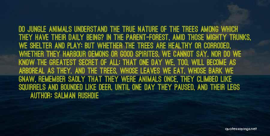 Jungle Forest Earth Nature Quotes By Salman Rushdie